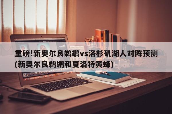 重磅!新奥尔良鹈鹕vs洛杉矶湖人对阵预测(新奥尔良鹈鹕和夏洛特黄蜂)